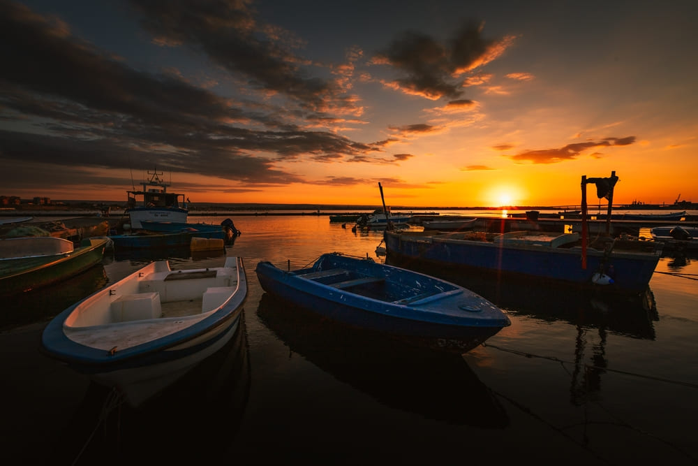 porto dos tatus