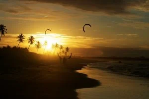 Silhuetas de coqueiros e pipas de kitesurf ao pôr do sol na praia