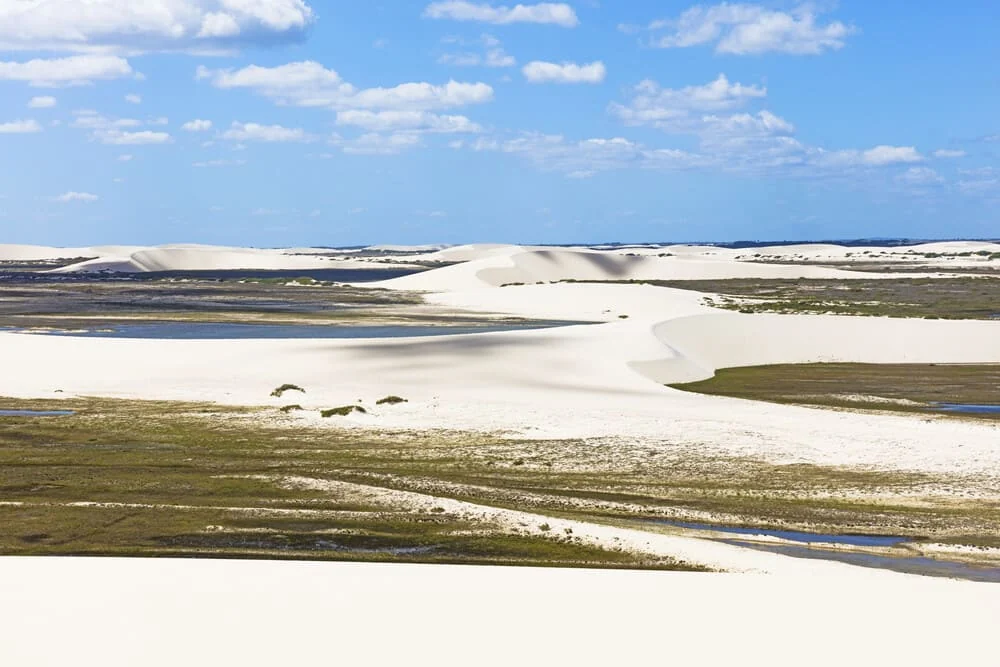 Campo de dunas brancas com lagoas rasas e vegetação rasteira sob céu azul com nuvens
