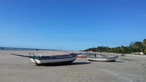 Barcos de pesca na areia da praia de Mundaú, com coqueiros ao fundo e céu azul