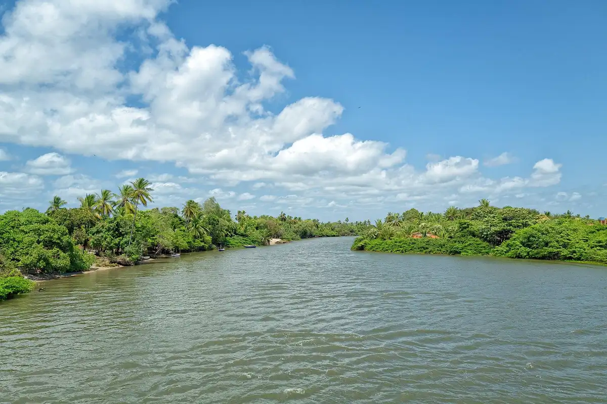Rio largo de água esverdeada entre margens de coqueiros e mangue, com barcos pequenos na beira, em Tutóia (MA)